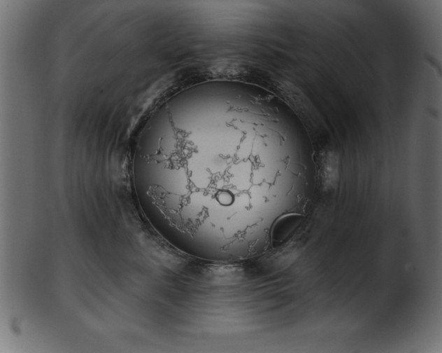 X0000102020619200807181328
