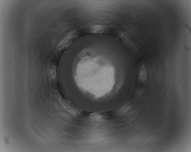 X0000102020620200807181328