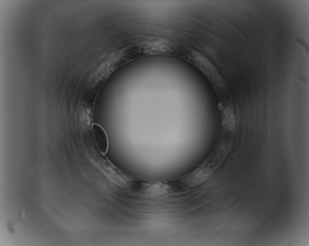 X0000102020621200807181328