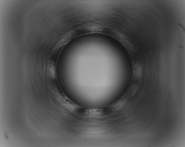 X0000102020622200807181328
