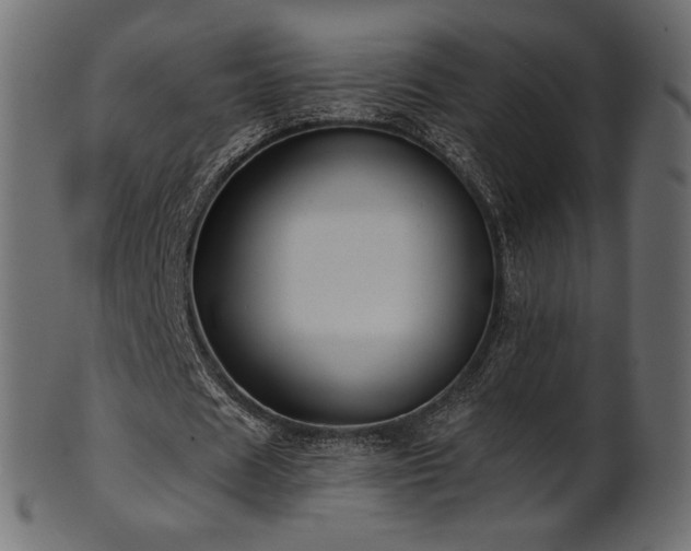 X0000102020625200807181327