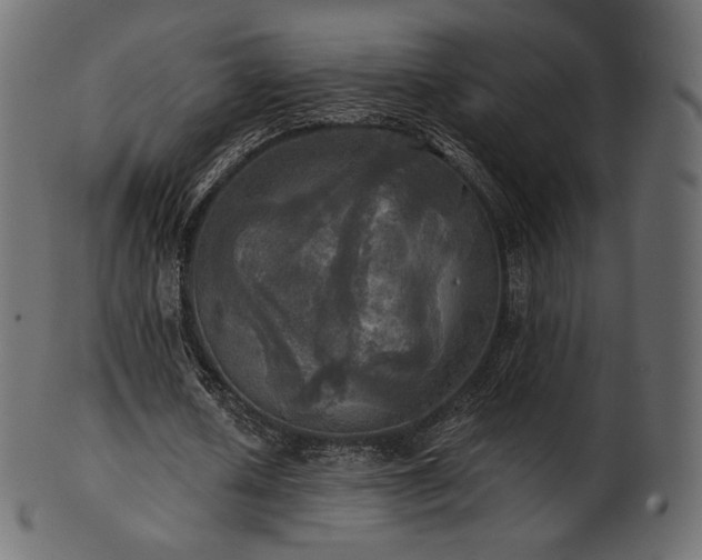 X0000102020626200807181327