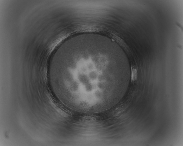 X0000102020627200807181327