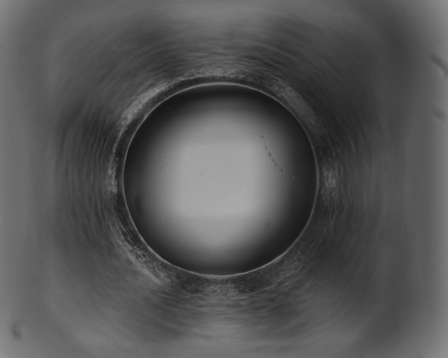 X0000102020628200807181327