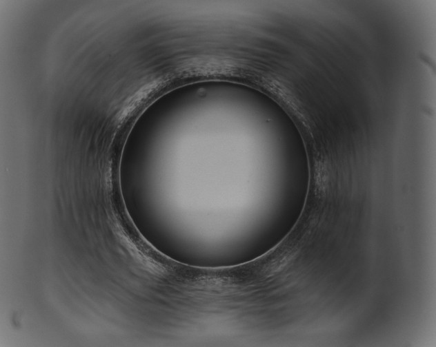 X0000102020629200807181327