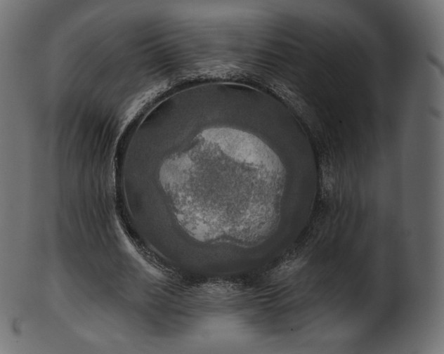 X0000102020630200807181327