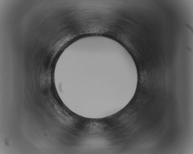 X0000102020632200807181327
