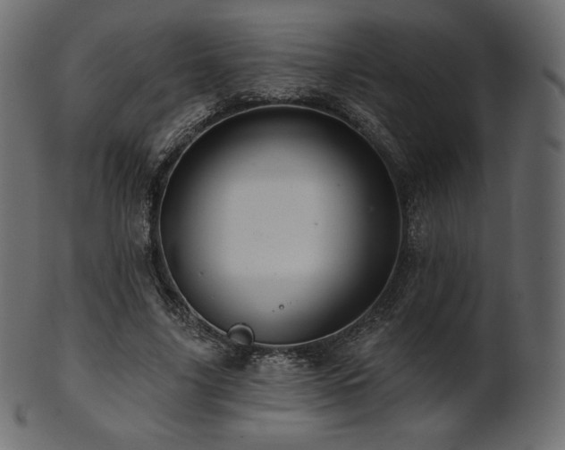 X0000102020635200807181327