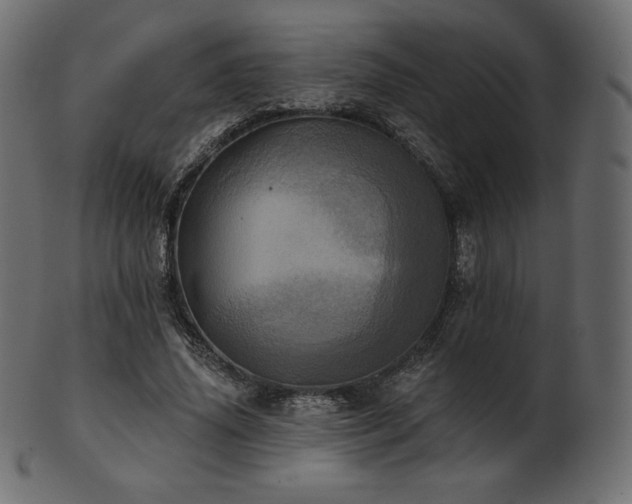 X0000102020636200807181327