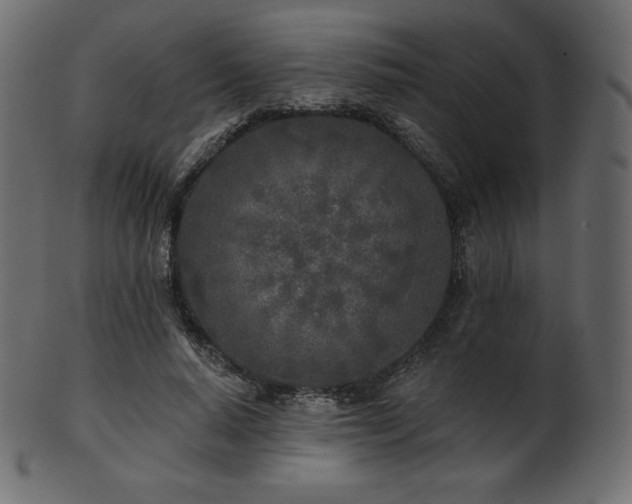 X0000102020640200807181327