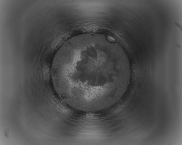 X0000102020641200807181327