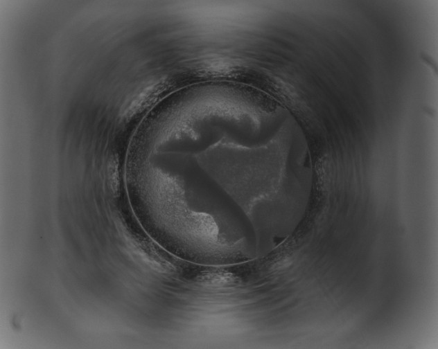 X0000102020642200807181327