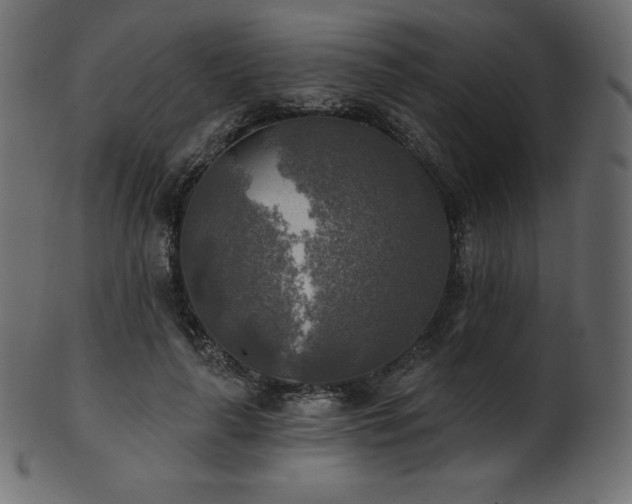 X0000102020643200807181327