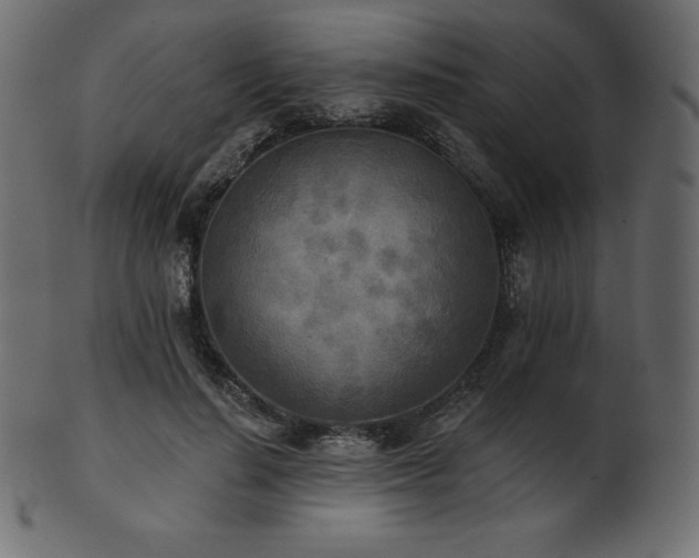 X0000102020644200807181327