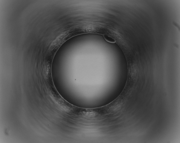X0000102020645200807181327