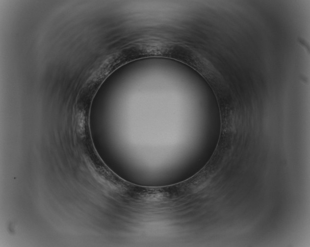 X0000102020646200807181327