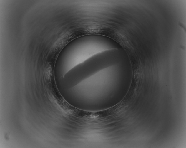 X0000102020647200807181327
