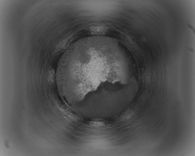 X0000102020649200807181327