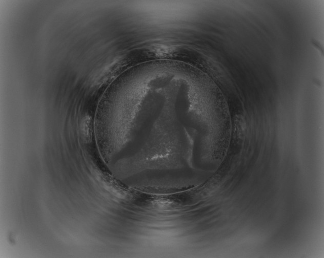 X0000102020650200807181327