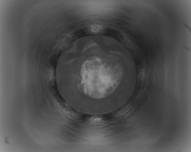 X0000102020651200807181327