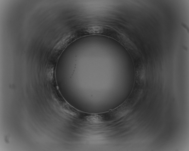 X0000102020652200807181327