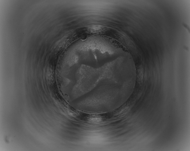 X0000102020653200807181327