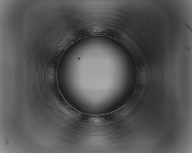 X0000102020654200807181327