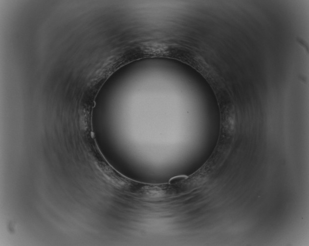 X0000102020658200807181328