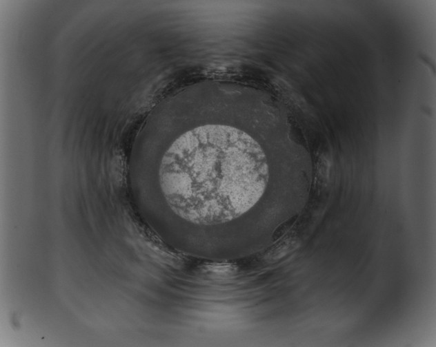 X0000102020659200807181328