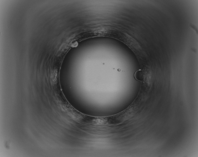 X0000102020660200807181328