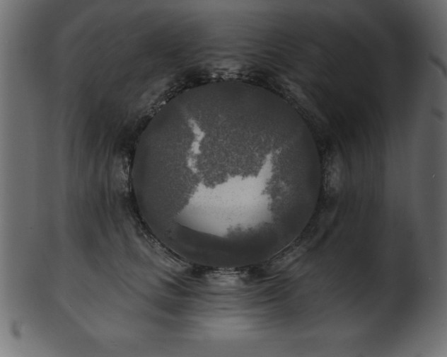 X0000102020661200807181328