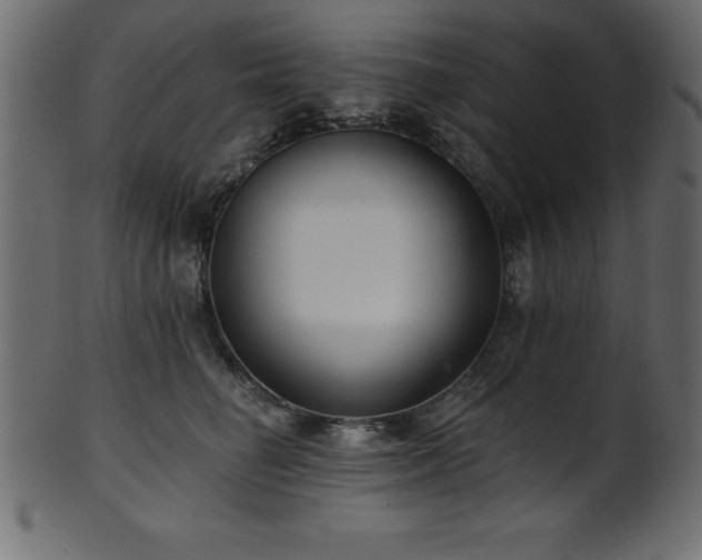 X0000102020662200807181328