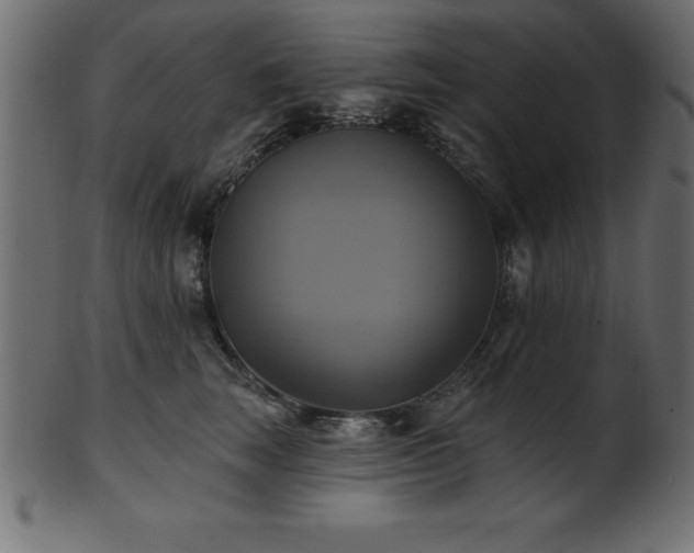 X0000102020663200807181328