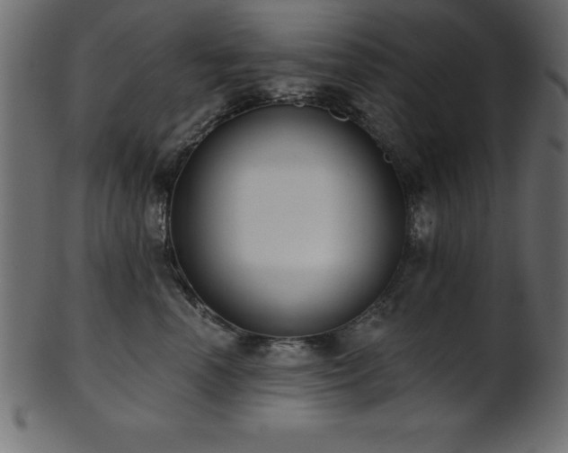 X0000102020666200807181328