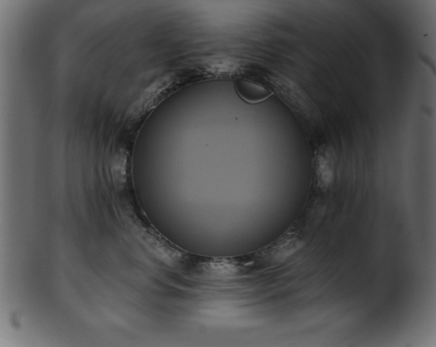X0000102020668200807181328