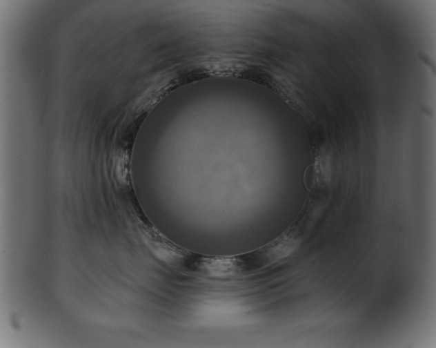 X0000102020671200807181328