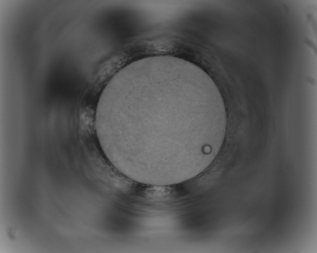 X0000102020672200807181328
