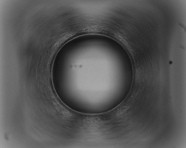 X0000102020673200807181327