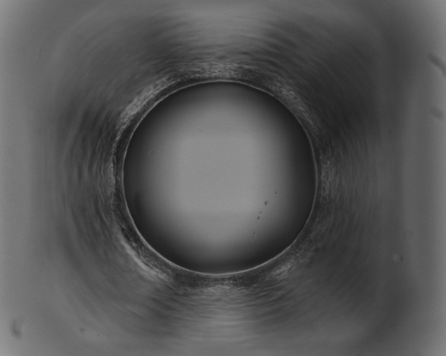 X0000102020674200807181327