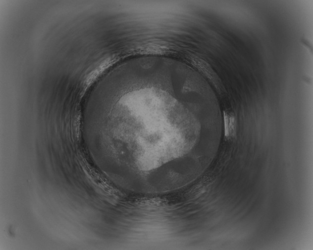 X0000102020675200807181327