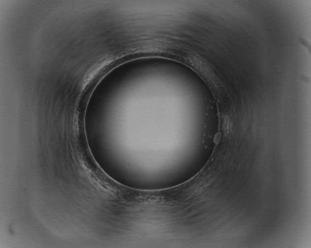 X0000102020676200807181327