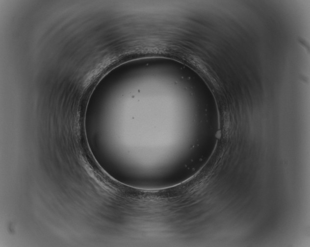 X0000102020677200807181327