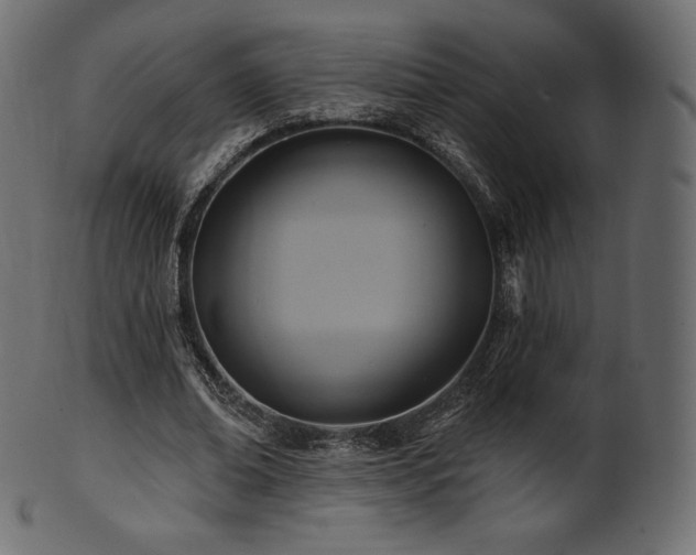 X0000102020678200807181327