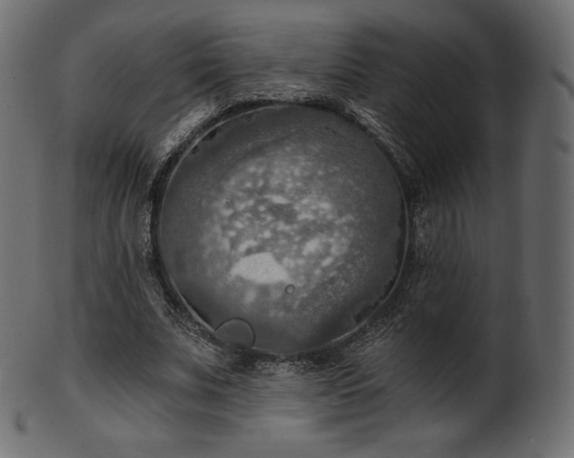 X0000102020679200807181327