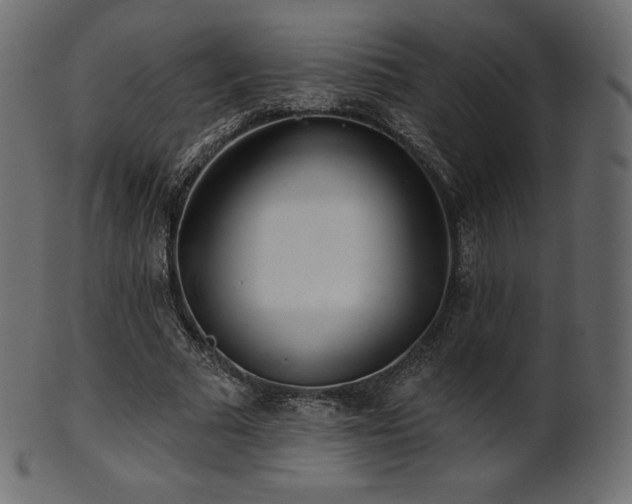 X0000102020681200807181327