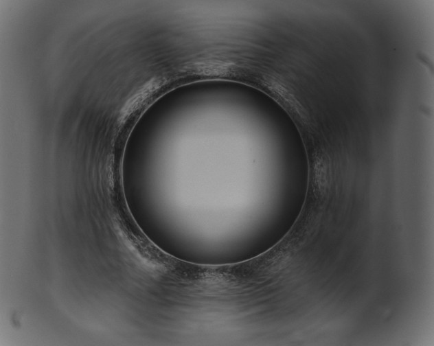 X0000102020682200807181327