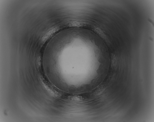 X0000102020683200807181327