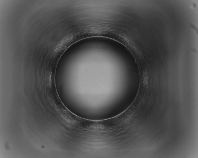 X0000102020685200807181327