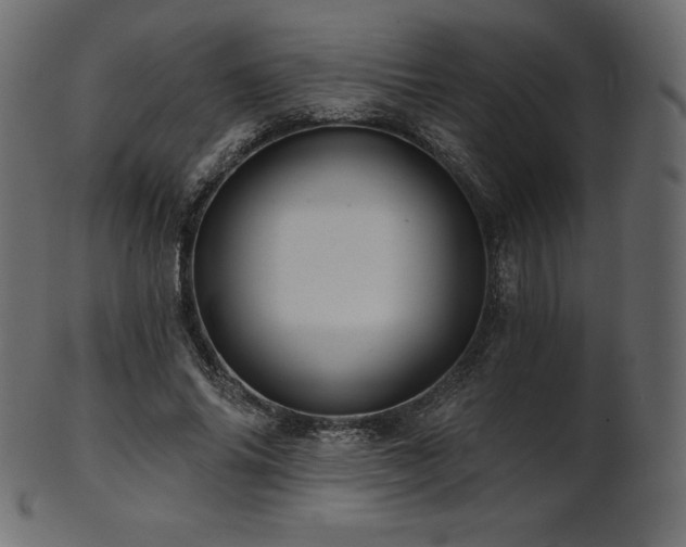 X0000102020686200807181327