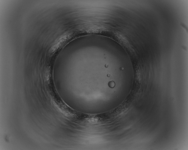 X0000102020687200807181327